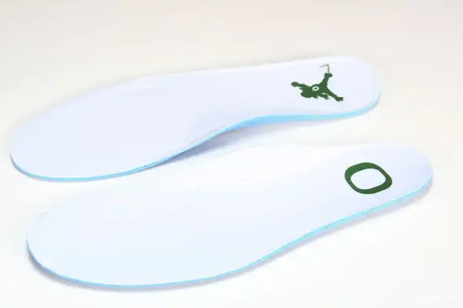 Rep TB 4 Oregon 257-255275 Ducks Duckman Jordan Retro 0404